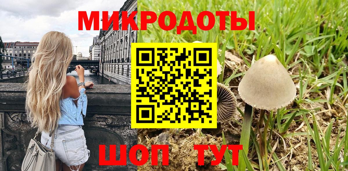 Псилоцибиновые грибы Magic Shrooms Ростов-на-Дону